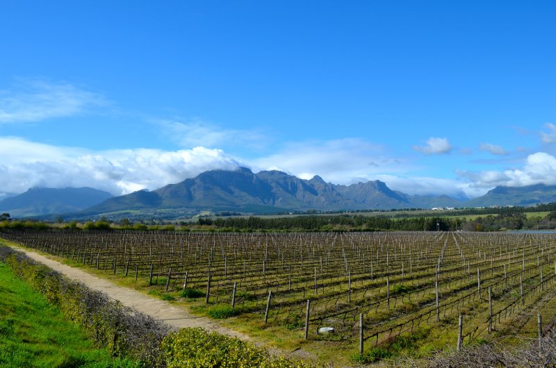 Ruta del Vino o Cape Winelands, Sudáfrica