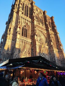 Visita de un día a Estrasburgo, Alsacia