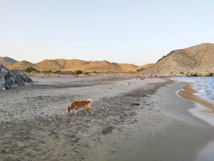 Playas de Cabo de Gata con Mascotas