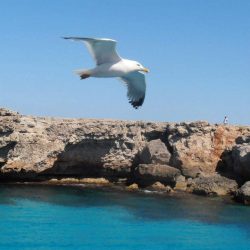 Playas del sur de Menorca y Ciutadella