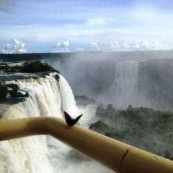 Visita a las cataratas de Iguazú